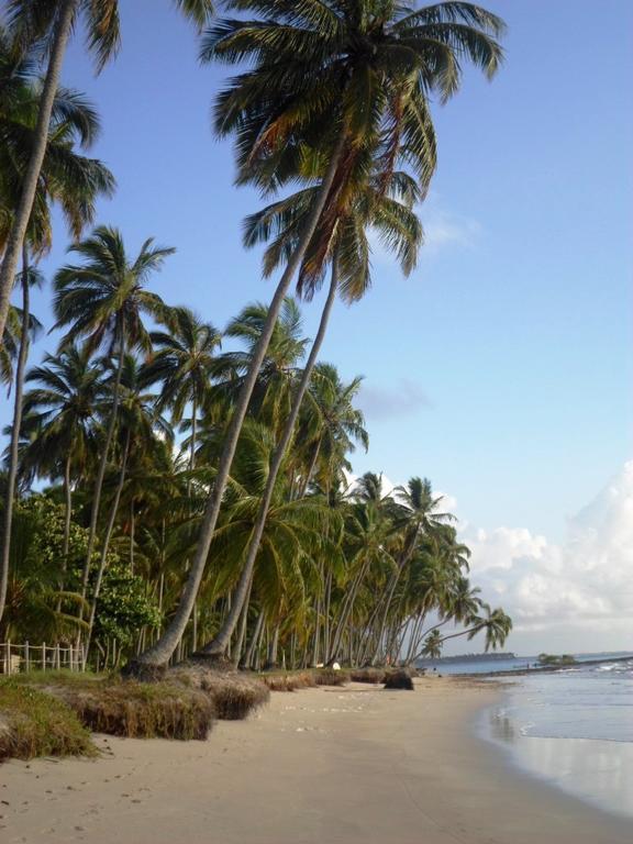 Carneiros Beach Resort Praia dos Carneiros Ngoại thất bức ảnh